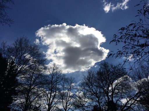 "und über uns im schönen Sommerhimmel war eine Wolke, die ich lange sah, sie war sehr weiss und ungeheuer oben..." Berthold Brecht