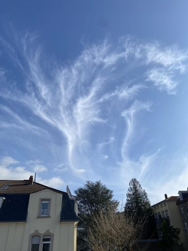 seahorses meetup in the sky