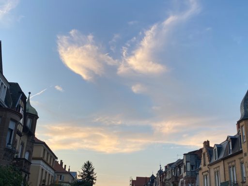 ...treffen sich zwei über der Keplerstrasse...