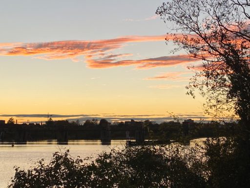 "Segler der Lüfte, von flüchtigen Winden hingetrieben durchs All" Klaus Reichert