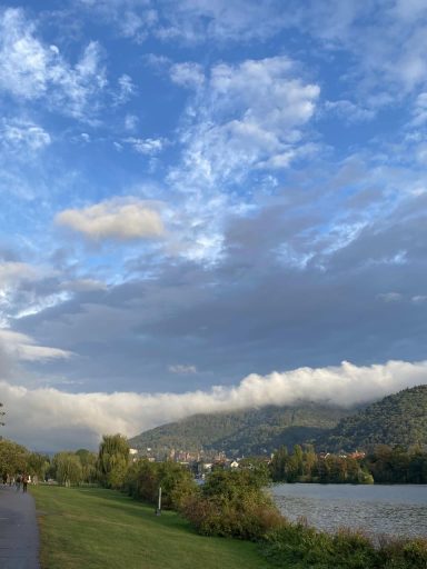 Cumulus, Altocumulus und Cirrostratuswolken über Königstuhl