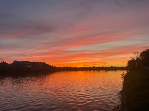 "The person with a narrow vision sees a narrow horizon, the person with a wide vision sees a wide horizon" (Maori)