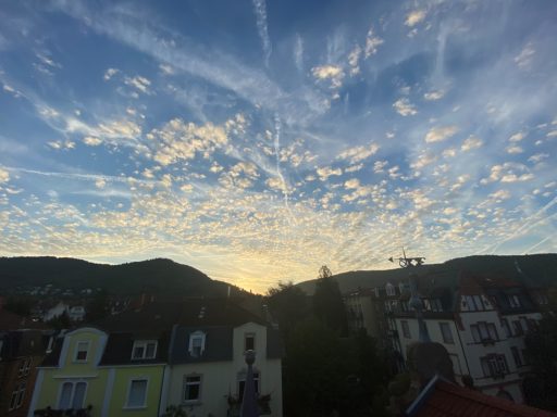 Aufgeschrecktes Treiben am frühen Morgenhimmel