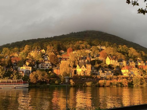 Indian summer über Neuenheims Villen