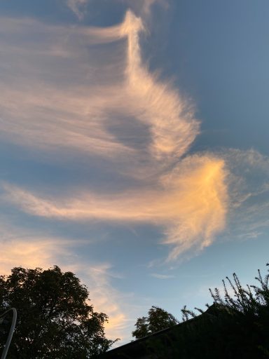Typische Cirrus - Schleierformen am Abendhimmel , langsam in hoher Atmosphäre nach Westen dahinziehend